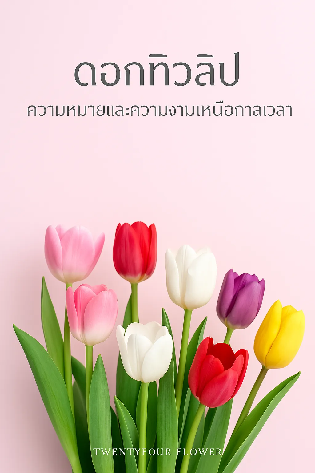 ช่อดอกทิวลิป
