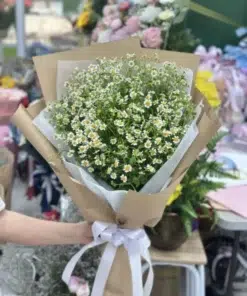 ช่อดอกเดซี่