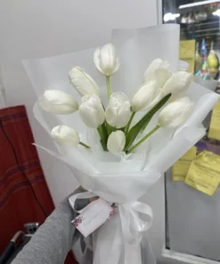 ช่อดอกทิวลิปสีขาว